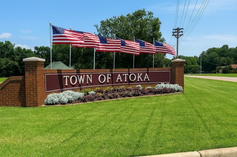 Best Bathroom Remodeling pros in Atoka, TN